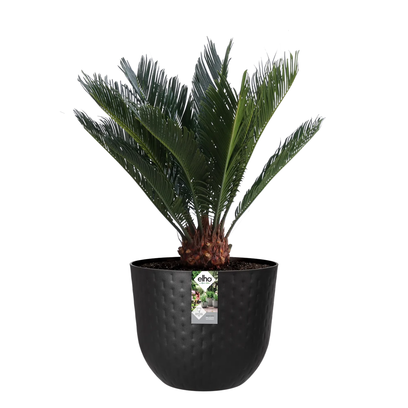 Fuente Grains Round 30Cm (Black)