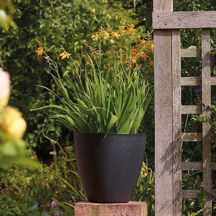 40cm Basalt Low Round - Black - 40x38cm