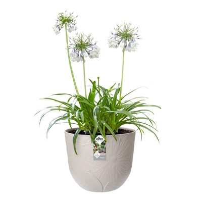 Fuente Lily Round 47cm (Grey)