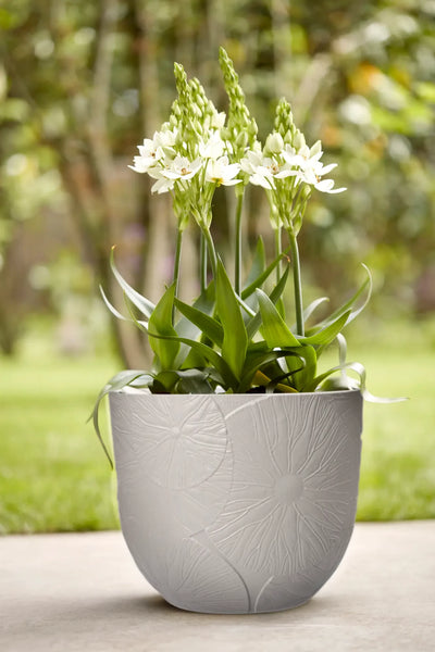 Fuente Lily Round 47cm (Grey)