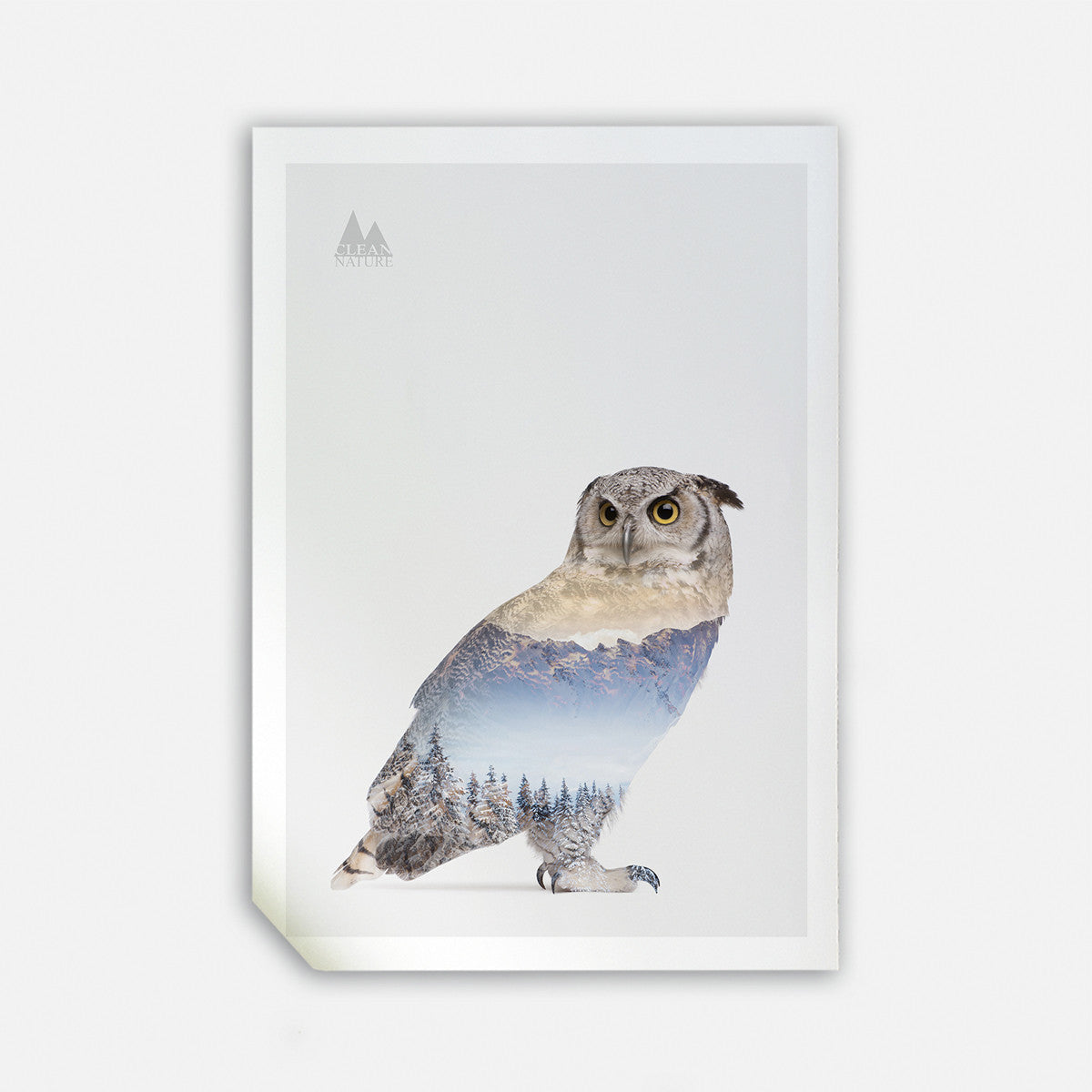 Snow Owl I, 50cmx70cm wall art
