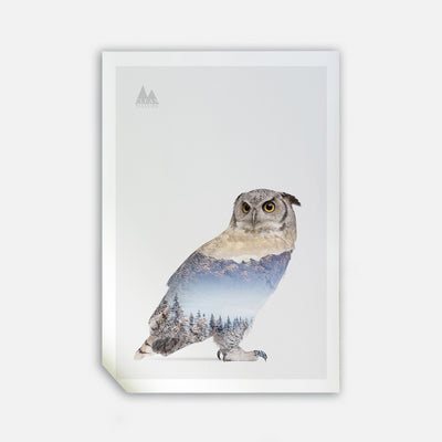 Snow Owl I, 50cmx70cm wall art
