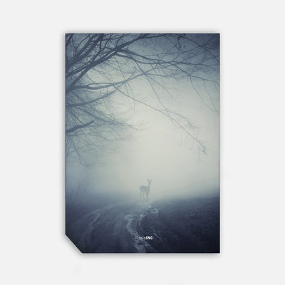 Misty Road, 50cmx70cm wall art