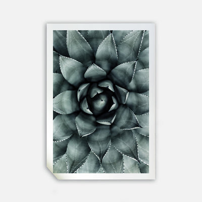 Green Star, 50cmx70cm wall art