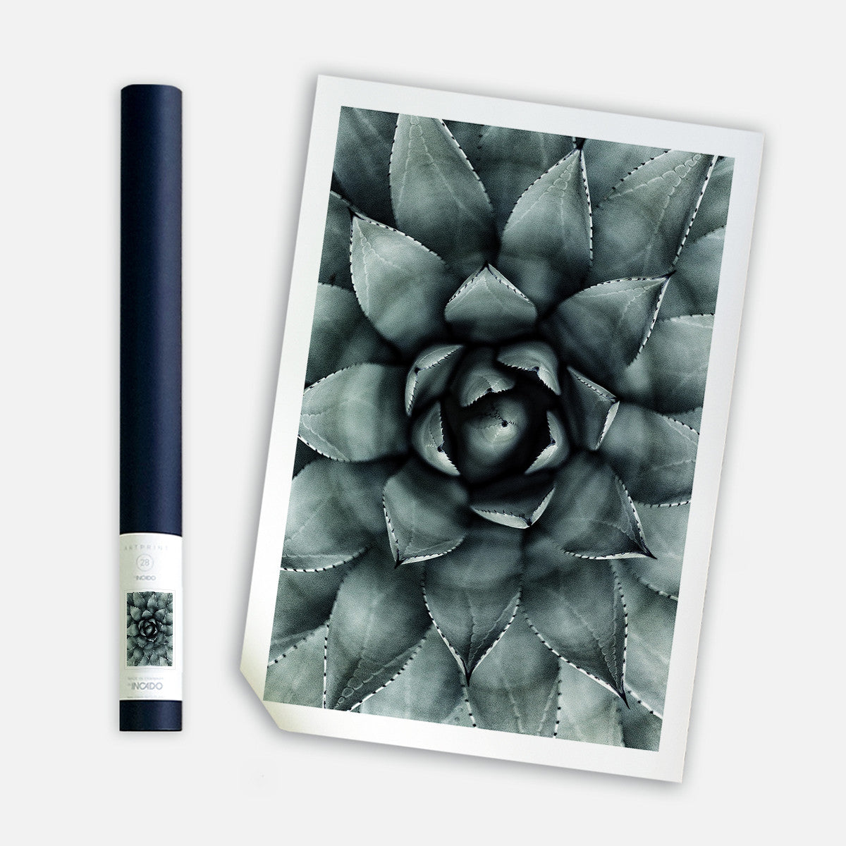 Green Star, 50cmx70cm wall art