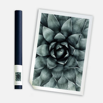 Green Star, 50cmx70cm wall art