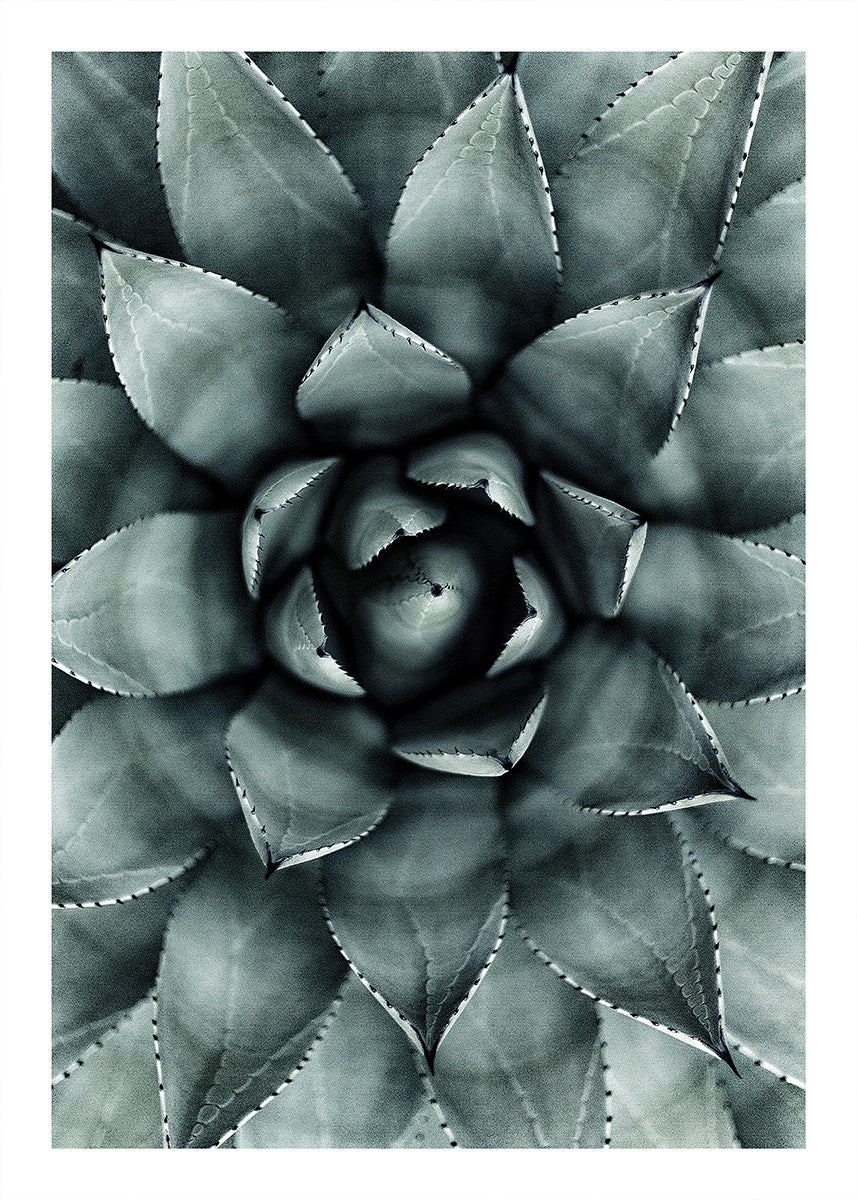 Green Star, 50cmx70cm wall art