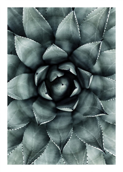 Green Star, 50cmx70cm wall art