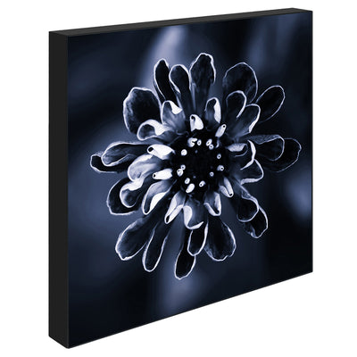 Daisy, 15cmx15cm art block