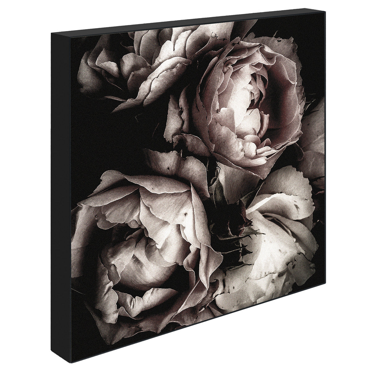 Rose, 15cmx15cm art block
