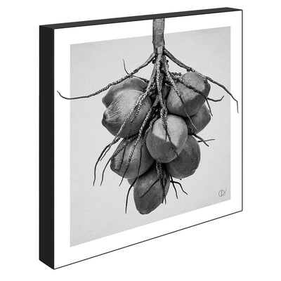 Kokos, 21cmx21cm art block