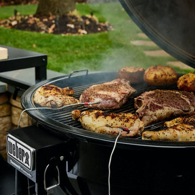 Summit Kamado E6