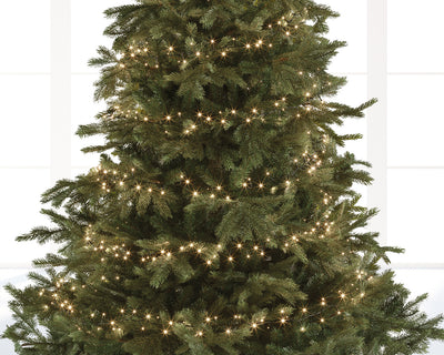Compact Twinkle Lights, 1500 Lights - Indoor/Outdoor - Warm White