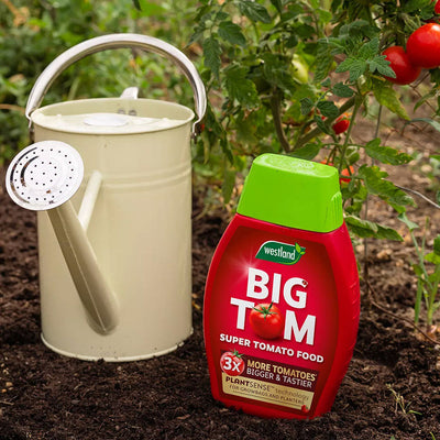 Big Tom Super Tomato Food