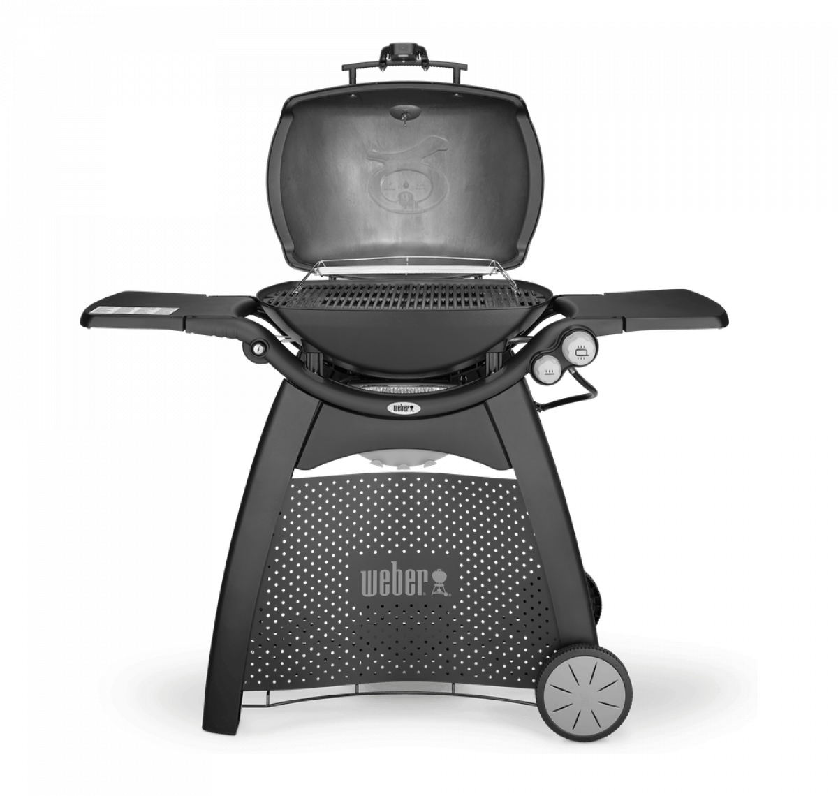 Weber Q 3200 Station - The Pavilion