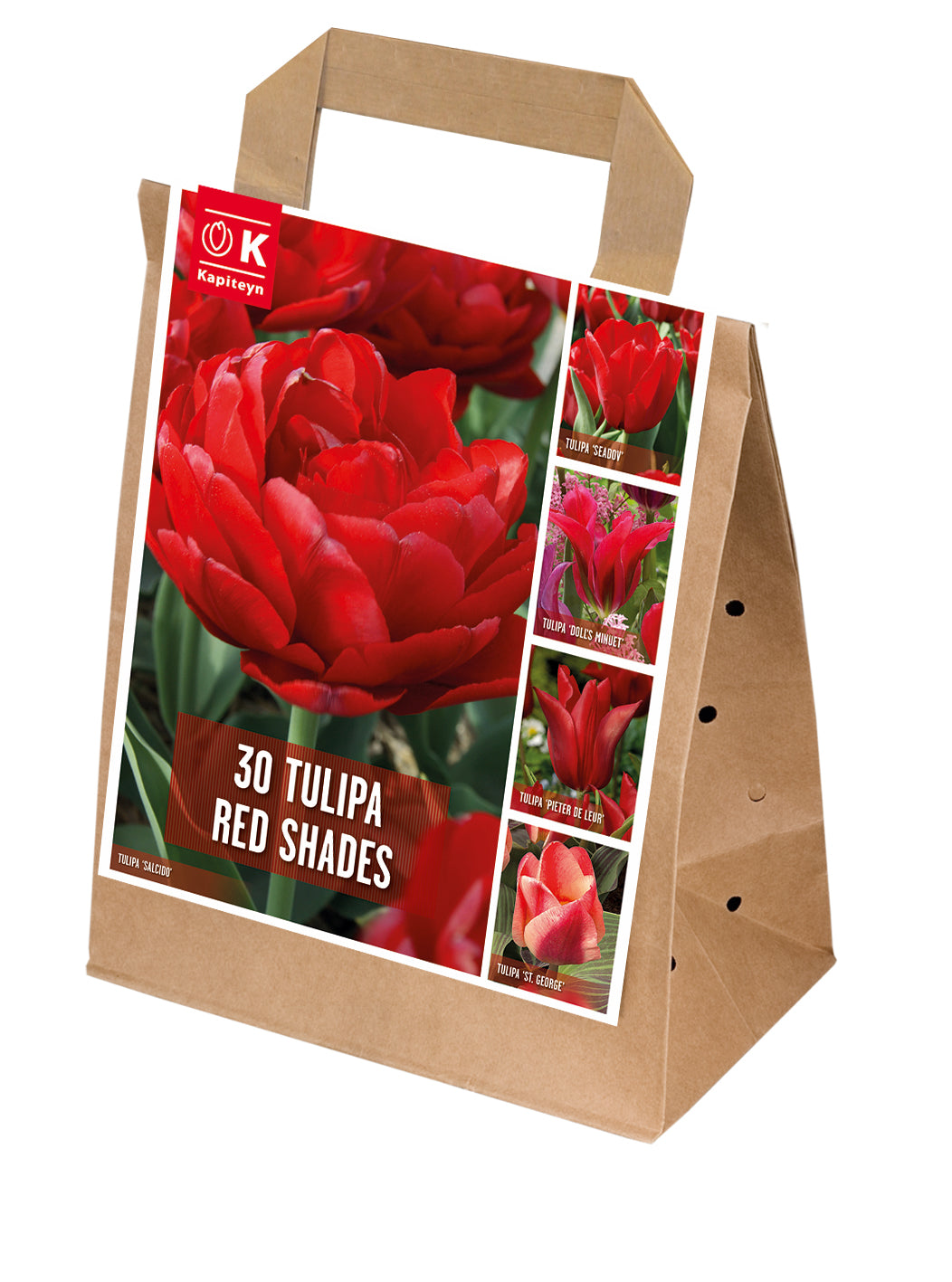 Shades Of Colour Tulipa Red 11/12