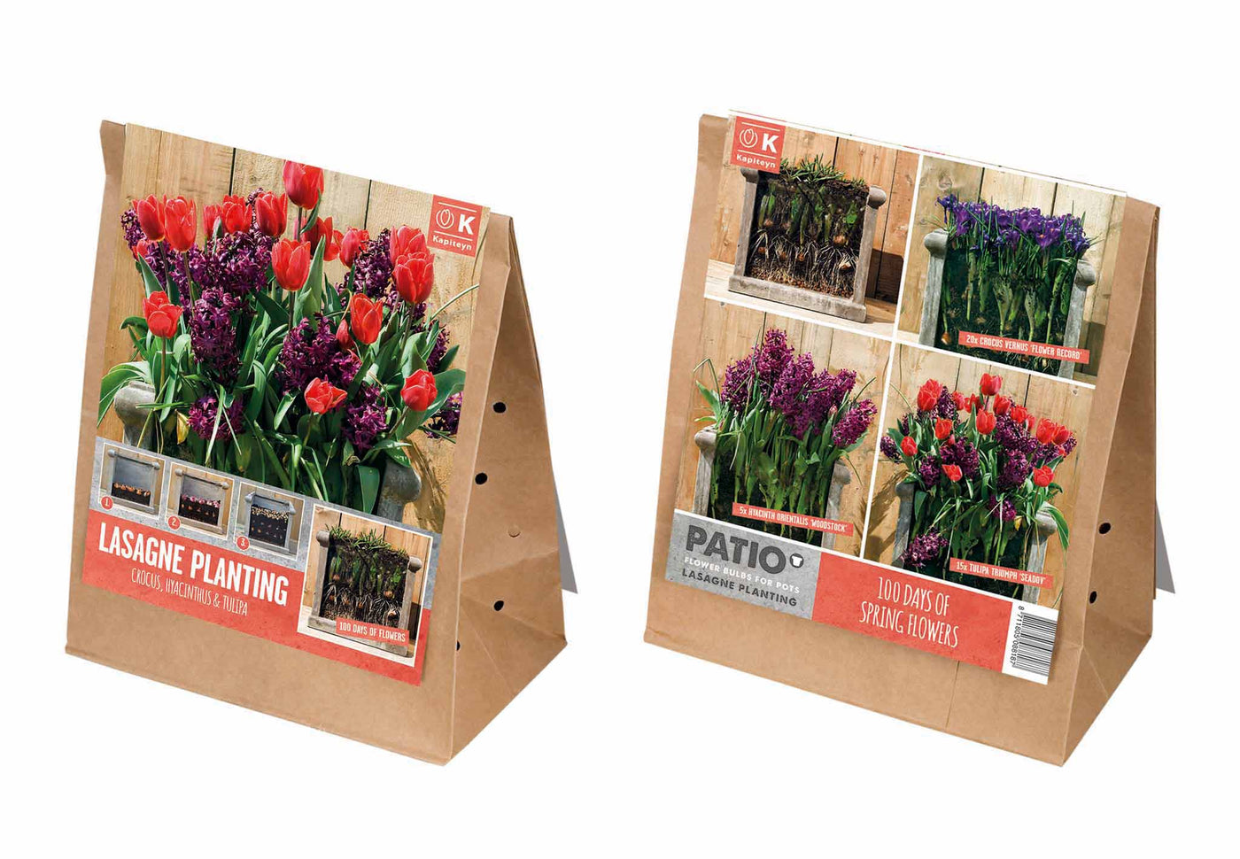 Lasagne Planting Red & Purple