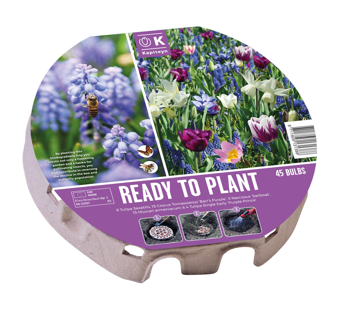 Plant-O-Mat Tray Xl 38 Wild Flowers 1