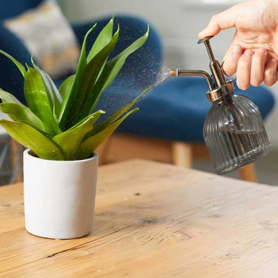 Plant Mister - 250ml