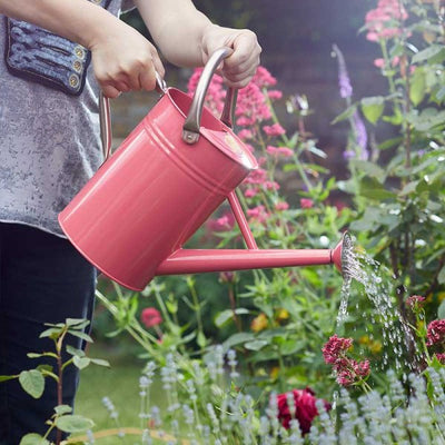 Watering Can ‚Äì Coral Pink 4.5L