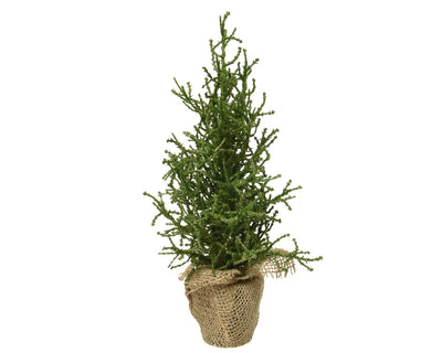 Mini Tree Silver Glitter Indoor - Green
