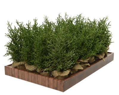 Mini Tree Silver Glitter Indoor - Green