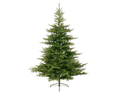 Grandis Fir - 7ft (210cm) - Artificial Tree