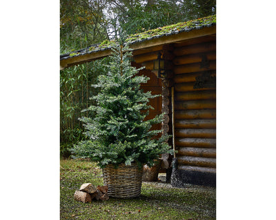 Grandis Fir - 7ft (210cm) - Artificial Tree