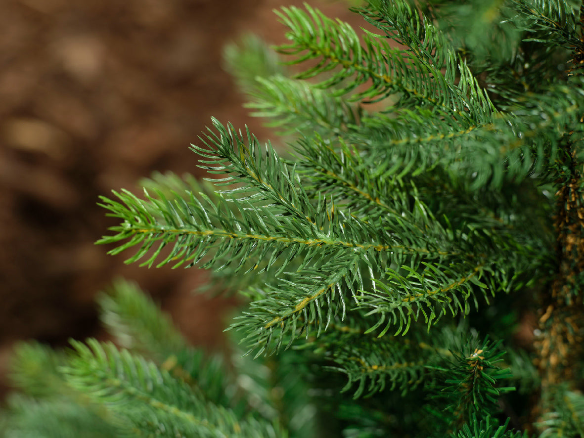 Grandis Fir - 8ft (240cm) - Artifical Tree