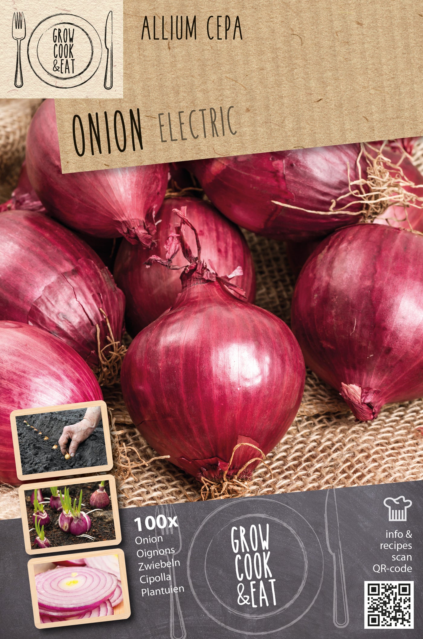 Onionset Electric (Overwinter Red)