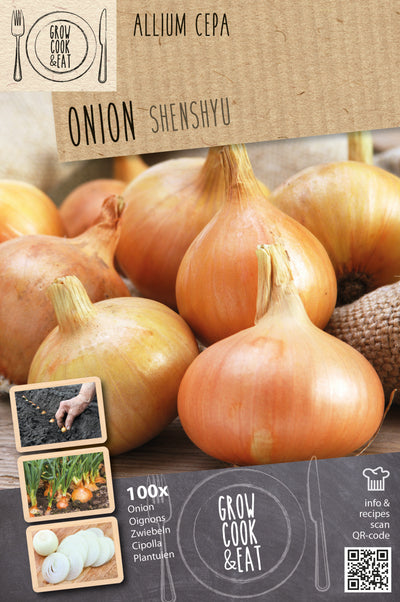 Onionset Senshyu (Overwinter Yellow)