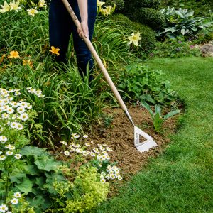 Kent & Stowe Stainless Steel Long Handled Dutch Hoe
