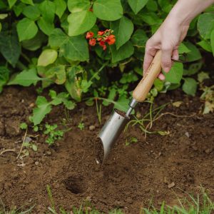 Kent & Stowe Stainless Steel Small Bulb Planter