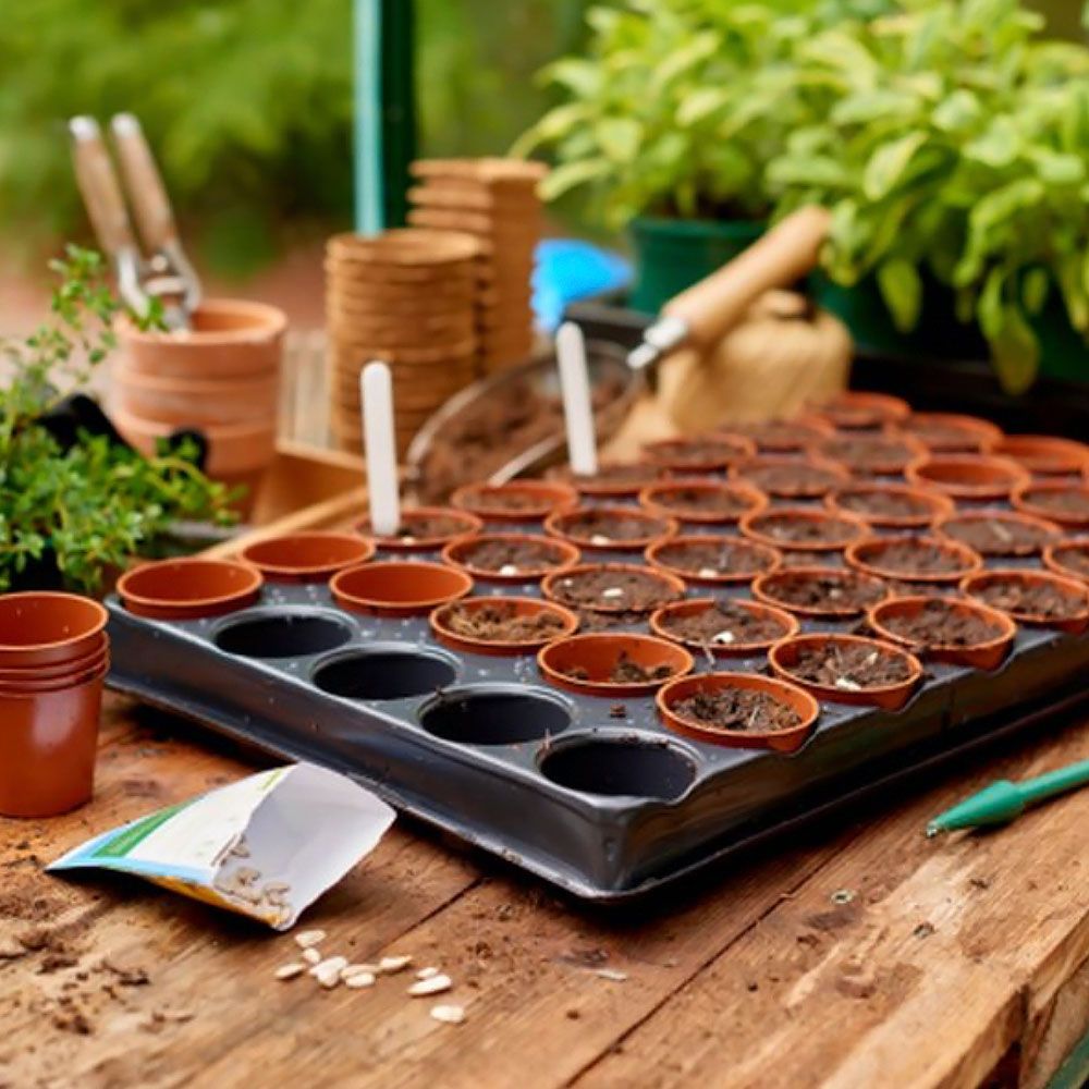 Grow It Seed and Cutting Tray with 40 Pots