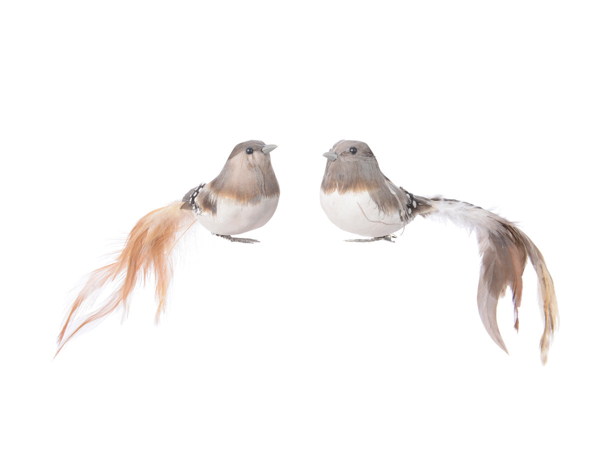 Bird with Long Feather Tail on clip - Brown / Light brown