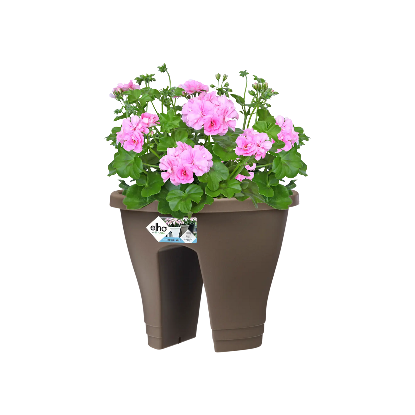 Corsica Flower Bridge 30Cm (Taupe)