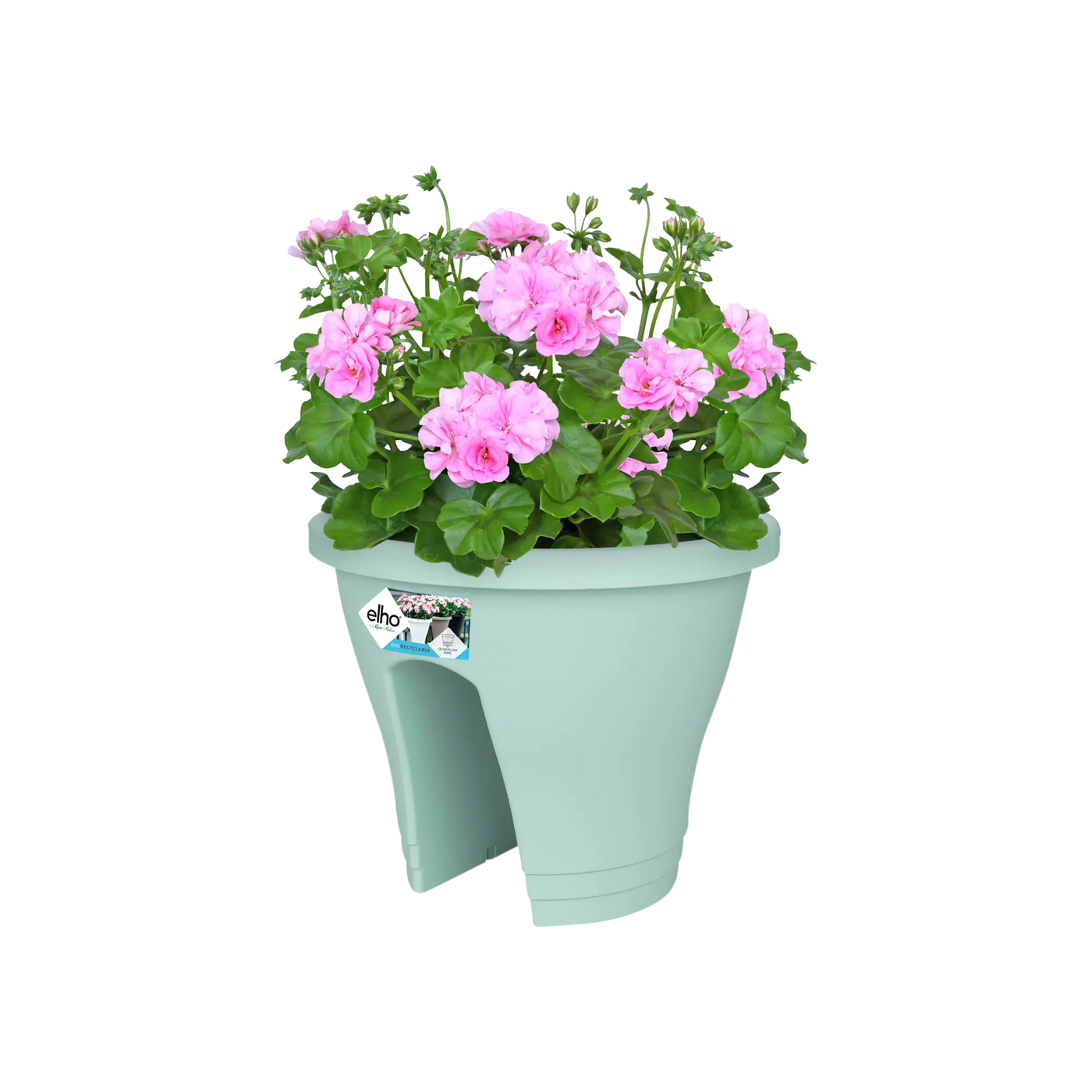 Corsica Flower Bridge 30Cm (Mint)