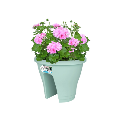 Corsica Flower Bridge 30Cm (Mint)
