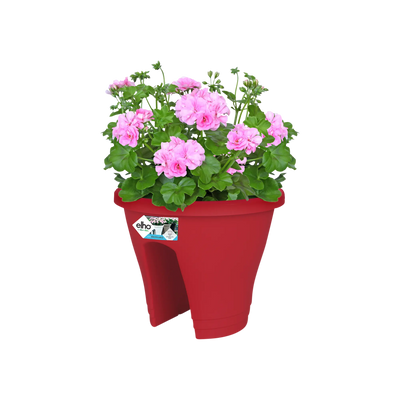 Corsica Flower Bridge 30Cm (Red)
