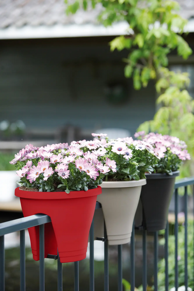 Corsica Flower Bridge 30Cm (Red)