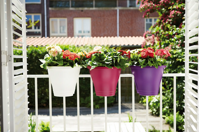 Corsica Flower Bridge 30Cm (Red)