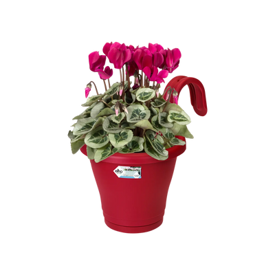 Corsica Easy Hanger Single (Red)