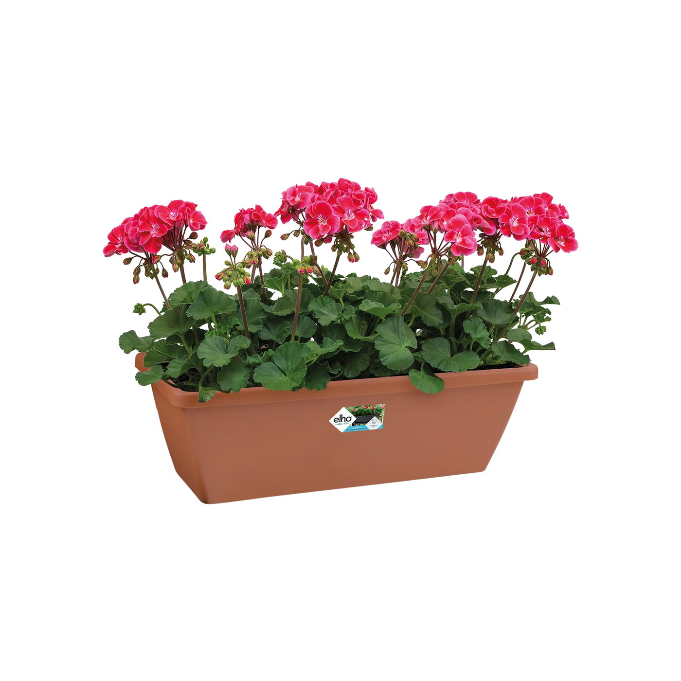 Barcelona Trough 70Cm (Terra)