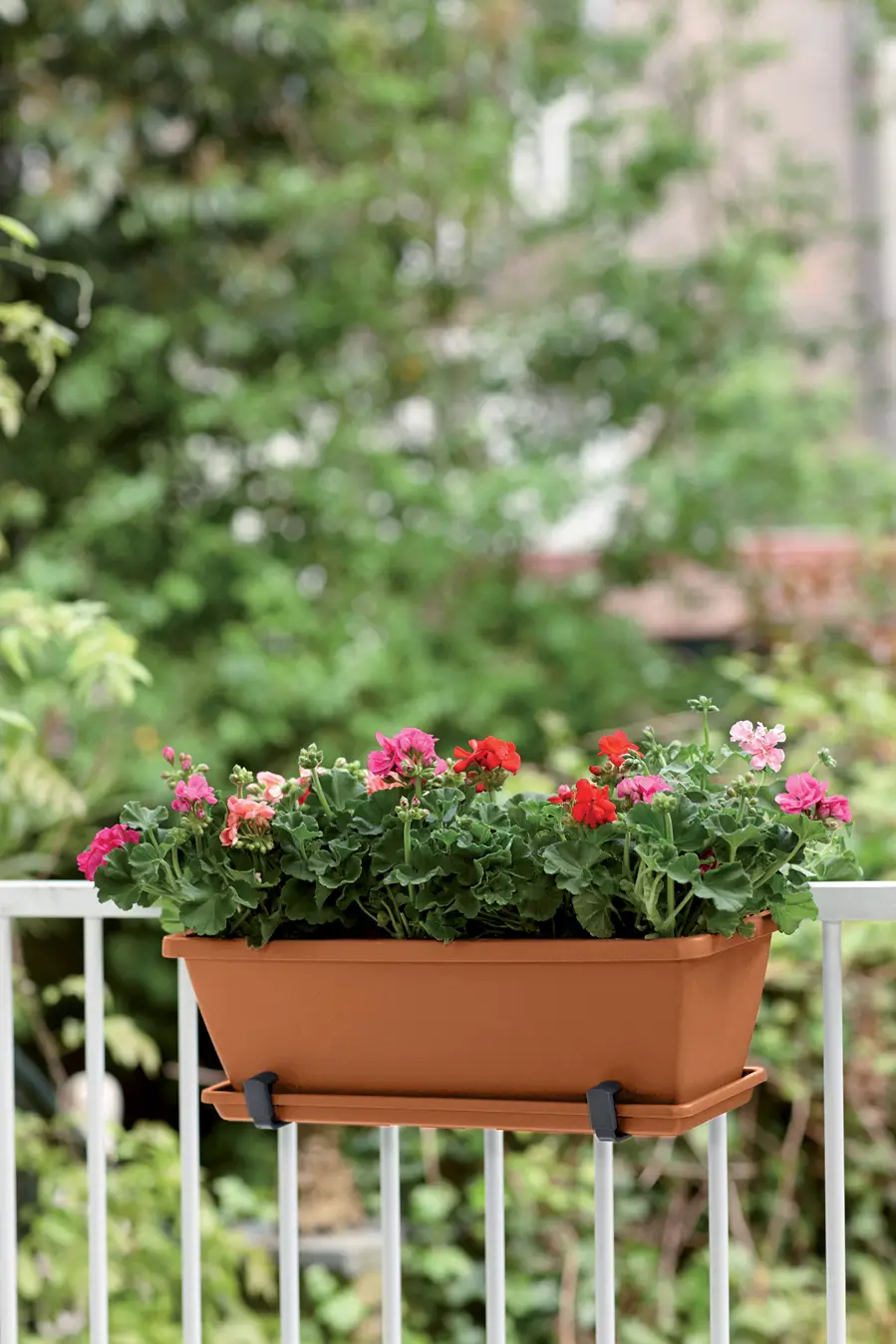 Barcelona Trough 70Cm (Terra)