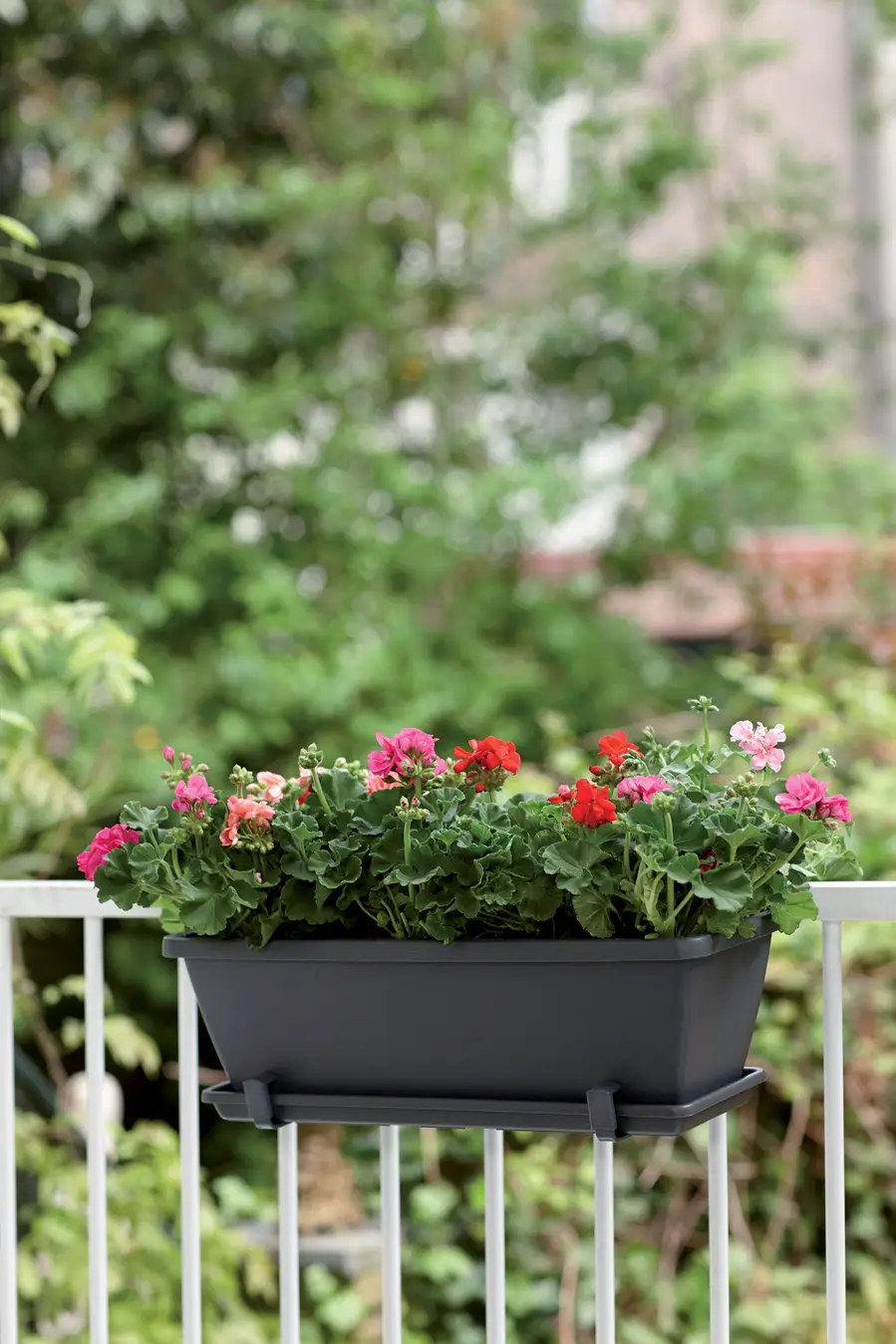Barcelona Trough 90Cm (Anthracite)