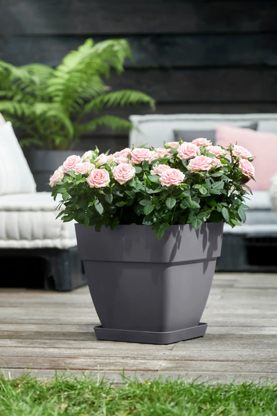 Loft Urban Saucer Square 22 (Anthracite)