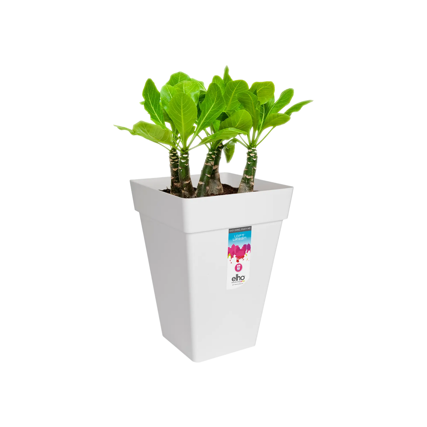Loft Urban Square High 37 (White)
