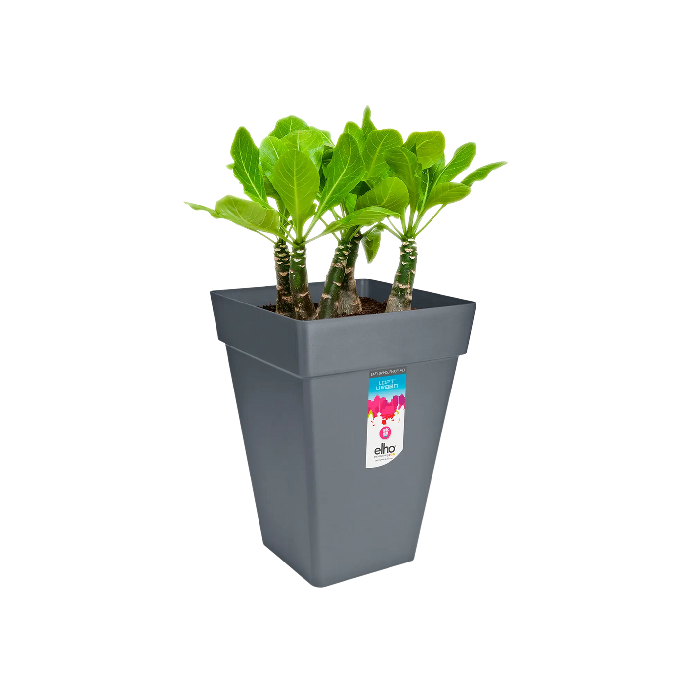 Loft Urban Square High 37 (Anthracite)