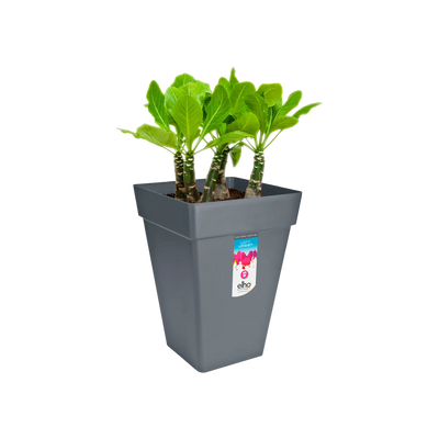 Loft Urban Square High 37 (Anthracite)