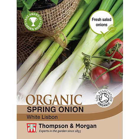 Spring Onion White Lisbon (Organic) - The Pavilion